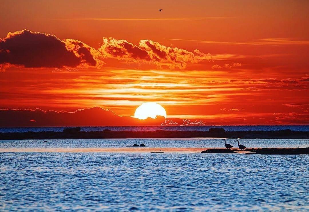 B&B La Strea Porto Cesareo Buitenkant foto
