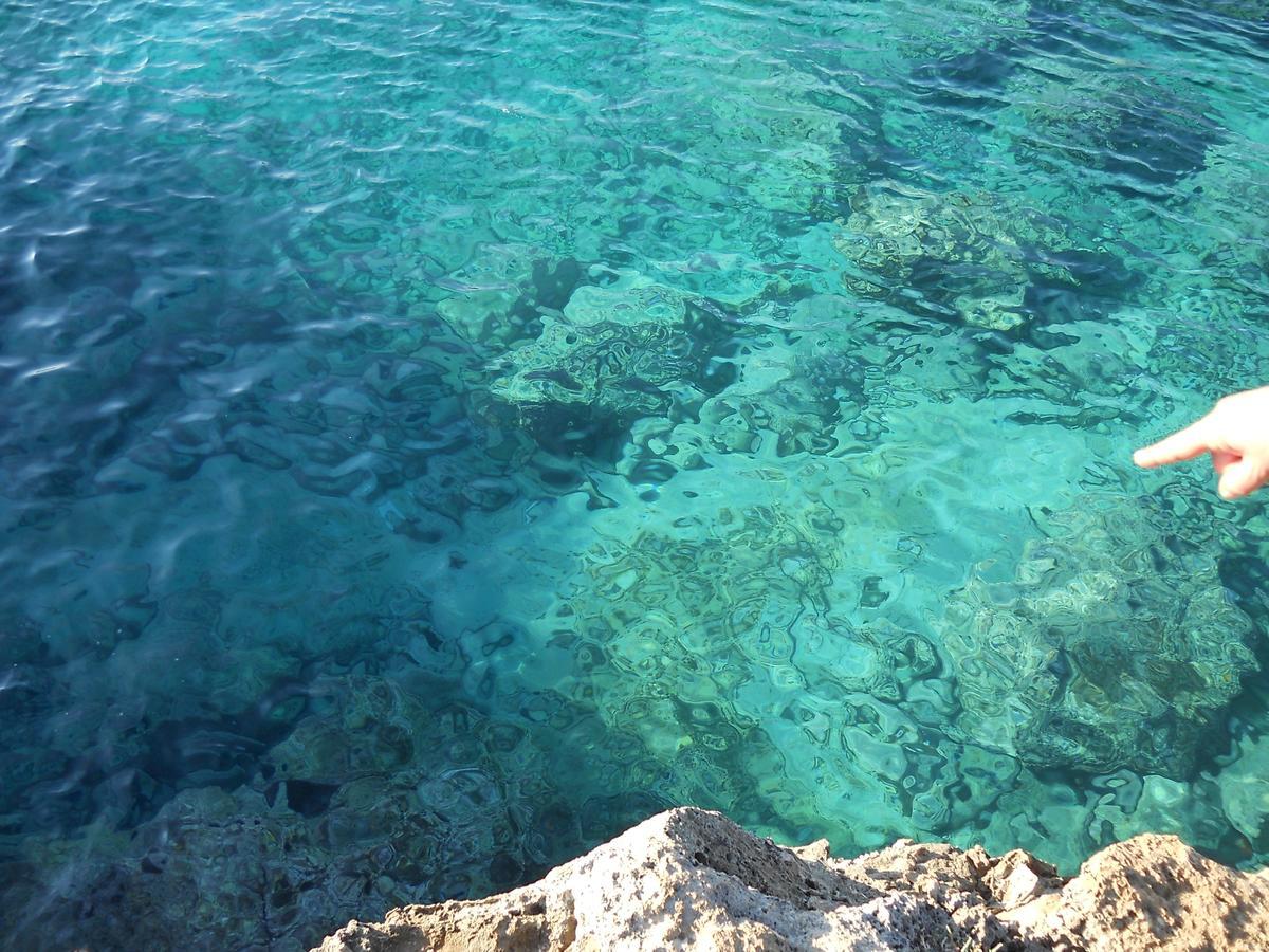 B&B La Strea Porto Cesareo Buitenkant foto